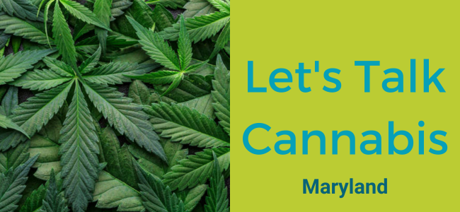 Lets-Talk-Cannabis-FAQ_Graphic-650x300